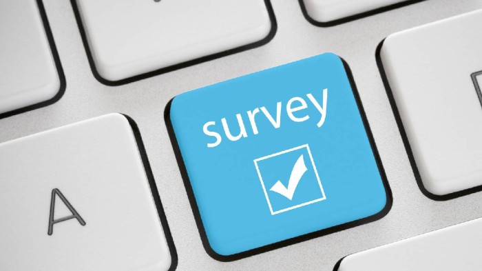 online survey_summary.jpg