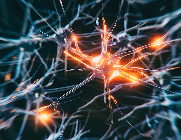 multiple sclerosis brain neuron summary.jpg