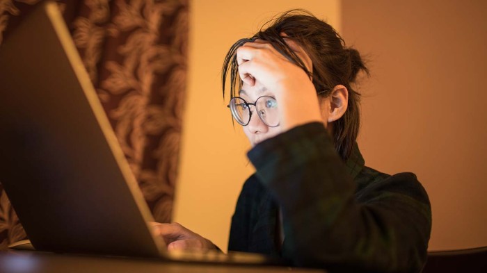 woman with laptop summary.jpg